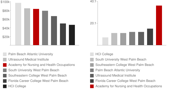 Academy for Nursing and Health Occupations Faculty Compensation and Workload Chart