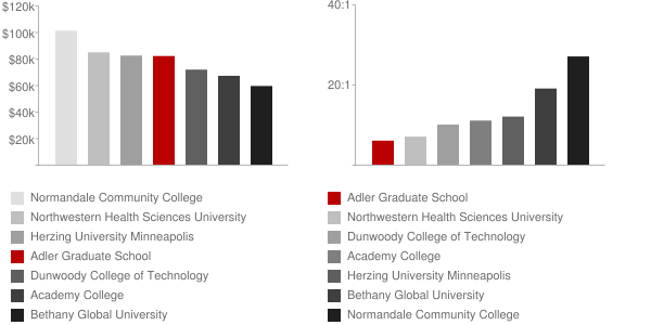 Adler Graduate School Faculty Compensation and Workload Chart