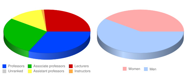 Babson College Faculty Demographics Chart