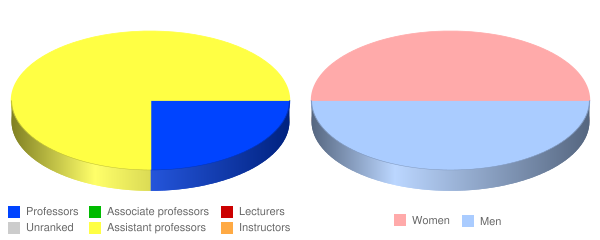 Baptist University of the Americas Faculty Demographics Chart