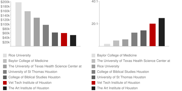 Vet Tech Institute of Houston Faculty Compensation and Workload Chart