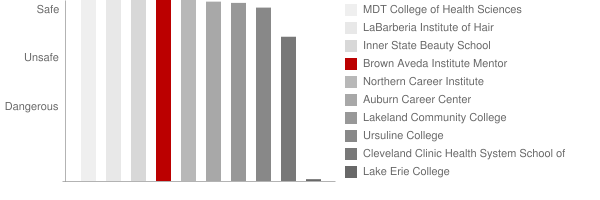 Brown Aveda Institute Mentor Safety Chart