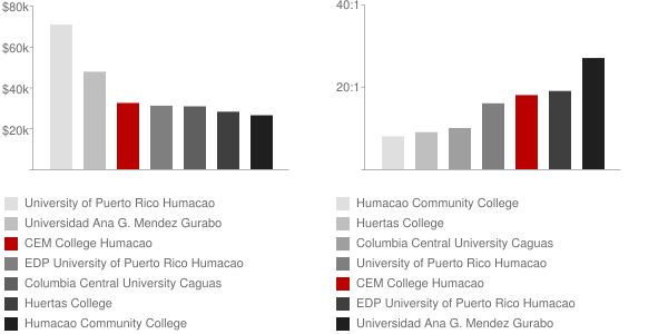 Centro de Estudios Multidisciplinarios Humacao Faculty Compensation and Workload Chart