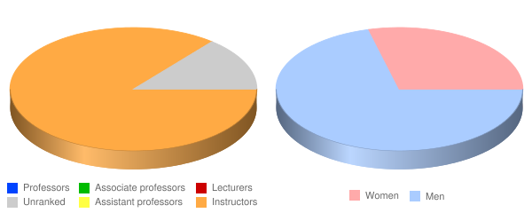 Chief Dull Knife College Faculty Demographics Chart