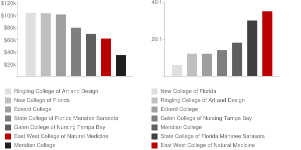 East West College of Natural Medicine Faculty Compensation and Workload Chart