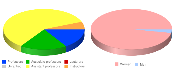 Nebraska Methodist College of Nursing & Allied Health Faculty Demographics Chart