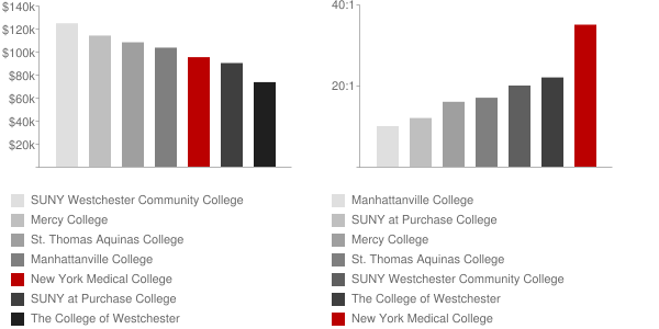 New York Medical College Faculty Compensation and Workload Chart