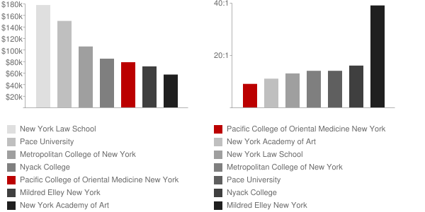 Pacific College of Oriental Medicine New York Faculty Compensation and Workload Chart