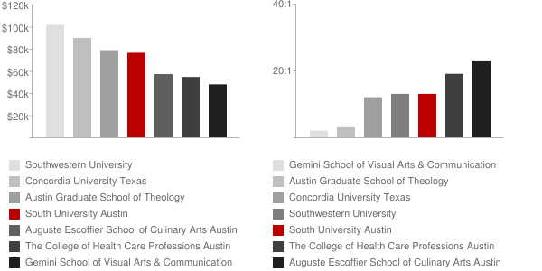 South University Austin Faculty Compensation and Workload Chart