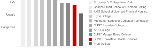 SUNY Downstate Medical Center Safety Chart