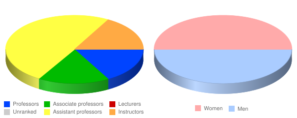 The College of Westchester Faculty Demographics Chart