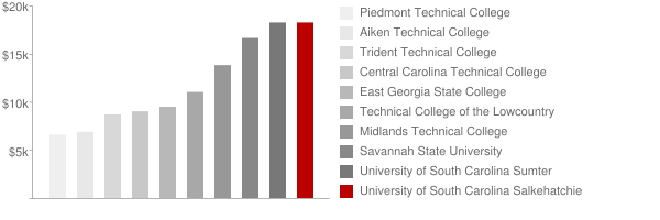University of South Carolina Salkehatchie Tuition Comparison Chart