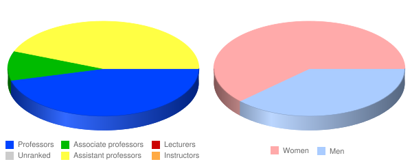 Vermont Law School Faculty Demographics Chart