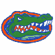 University of Florida University of Florida