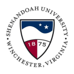 Mount st marys university physical remedy physical therapy elegance