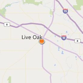 Suwannee Hamilton Technical Center Location Map - City View