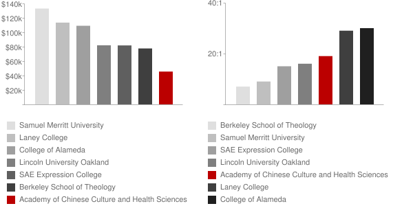 Academy of Chinese Culture and Health Sciences Faculty Compensation and Workload Chart