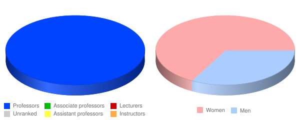 American Baptist College Faculty Demographics Chart
