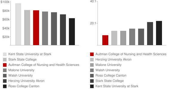 Aultman College of Nursing and Health Sciences Faculty Compensation and Workload Chart