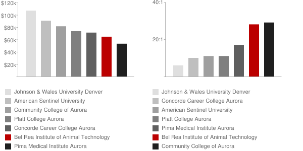 Bel Rea Institute of Animal Technology Faculty Compensation and Workload Chart