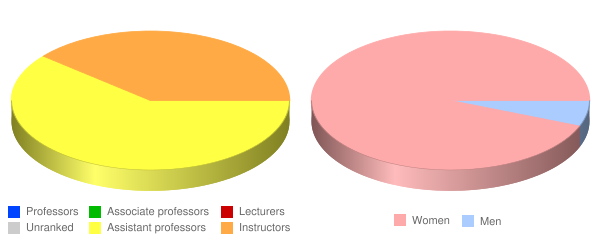 Bellin College Faculty Demographics Chart