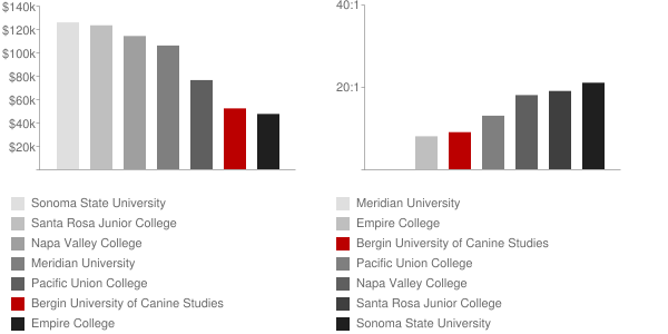 Bergin University of Canine Studies Faculty Compensation and Workload Chart