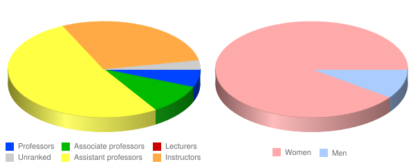 Blessing Rieman College of Nursing Faculty Demographics Chart
