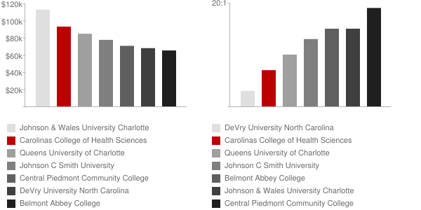 Carolinas College of Health Sciences Faculty Compensation and Workload Chart