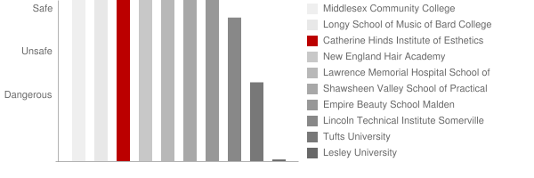 Catherine Hinds Institute of Esthetics Safety Chart