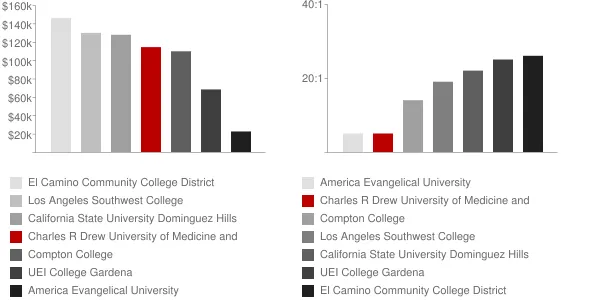 Charles R Drew University of Medicine and Science Faculty Compensation and Workload Chart