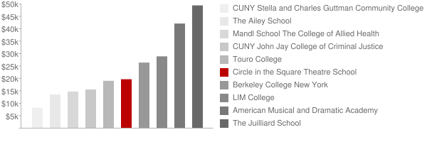 Circle in the Square Theater School Tuition Comparison Chart