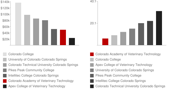 Colorado Academy of Veterinary Technology Faculty Compensation and Workload Chart