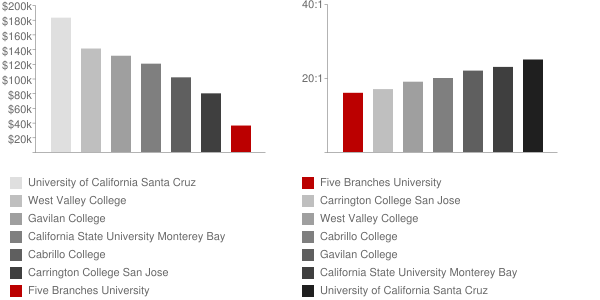 Five Branches University Faculty Compensation and Workload Chart