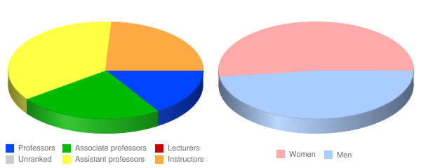 Five Towns College Faculty Demographics Chart