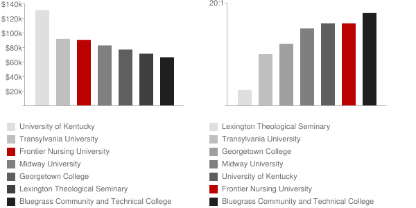 Frontier Nursing University Faculty Compensation and Workload Chart
