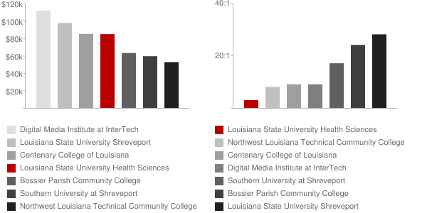 Louisiana State University Health Sciences Center Shreveport Faculty Compensation and Workload Chart
