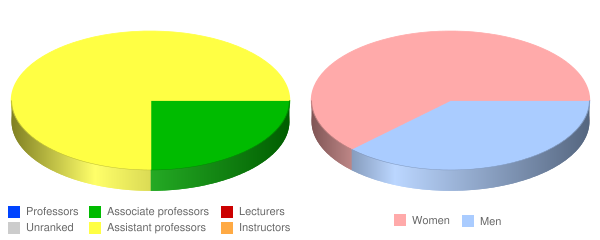 MacCormac College Faculty Demographics Chart