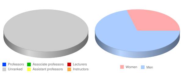 Morrison Institute of Technology Faculty Demographics Chart