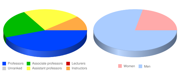Visible Music College Faculty Demographics Chart