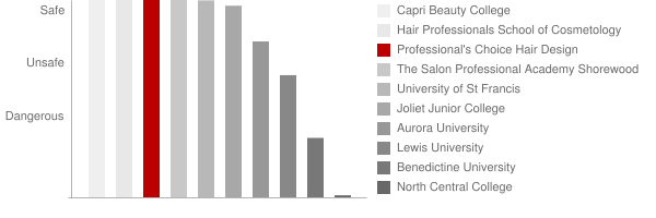 Professional's Choice Hair Design Academy Safety Chart