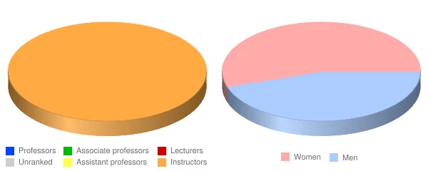 Remington College Dallas Faculty Demographics Chart