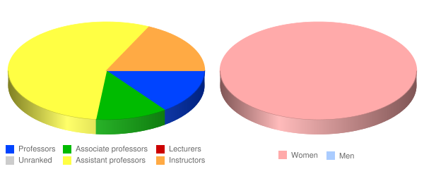 Research College of Nursing Faculty Demographics Chart