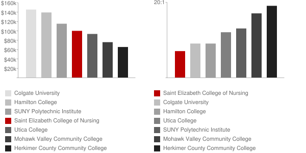 Saint Elizabeth College of Nursing Faculty Compensation and Workload Chart