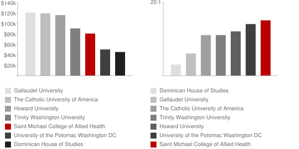 Saint Michael College of Allied Health Faculty Compensation and Workload Chart