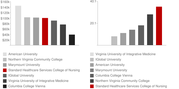 Standard Healthcare Services College of Nursing Faculty Compensation and Workload Chart
