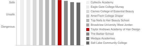 Taylor Andrews Academy Safety Chart