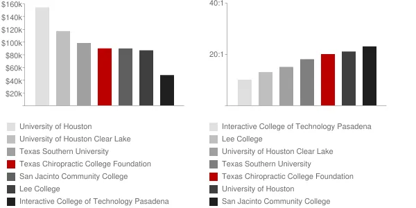Texas Chiropractic College Foundation Faculty Compensation and Workload Chart