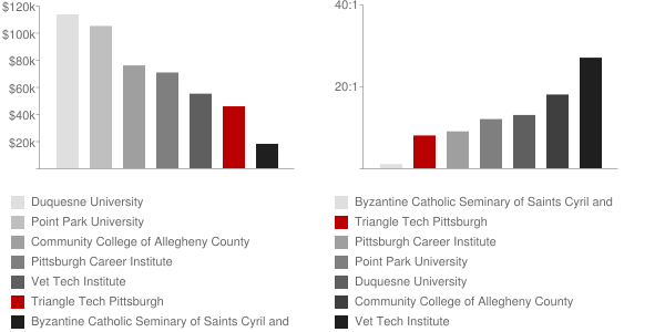 Triangle Tech Pittsburgh Faculty Compensation and Workload Chart
