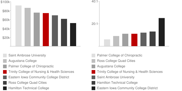 Trinity College of Nursing & Health Sciences Faculty Compensation and Workload Chart