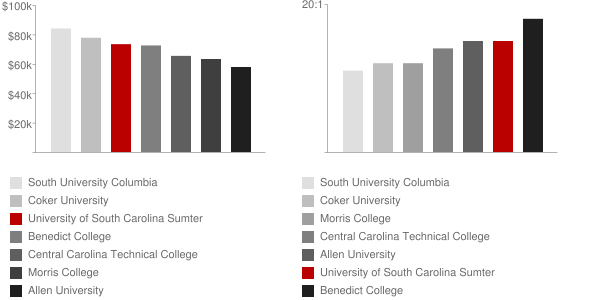 University of South Carolina Sumter Faculty Compensation and Workload Chart